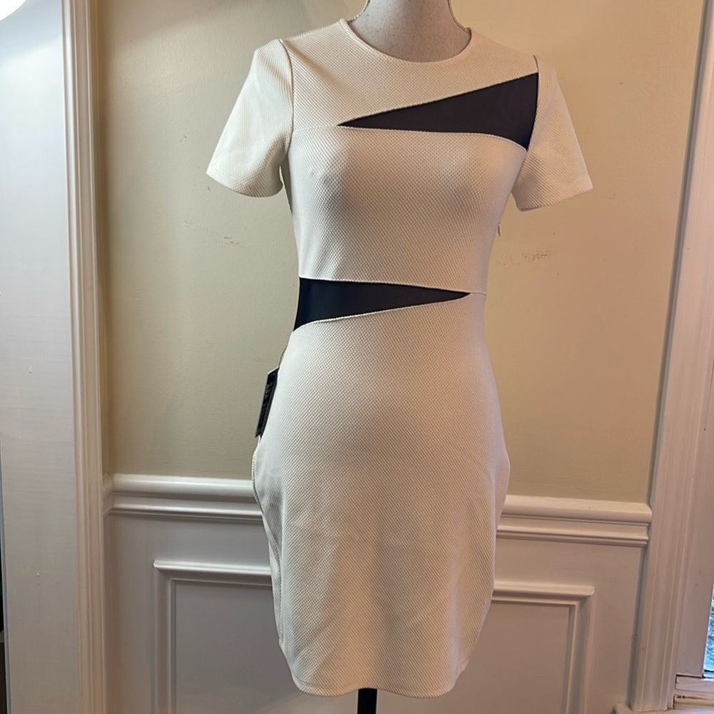 Express BodyCon Dress